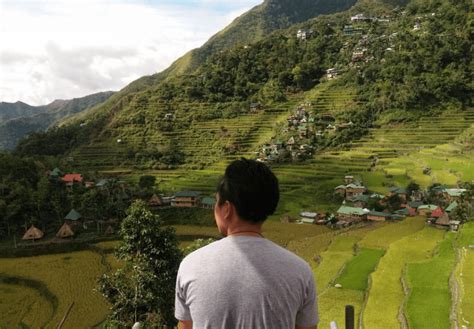 wordpress cauayan